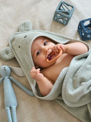 Vertbaudet Bio-Kollektion: Baby-Set aus Badetuch und Waschhandschuh salbei/bär