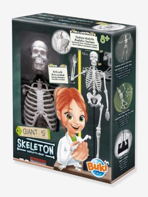 Buki Kinder Anatomie-Skelett BUKI