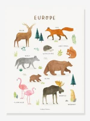 Lilipinso Kinderzimmer Poster LIVING EARTH Europa LILIPINSO